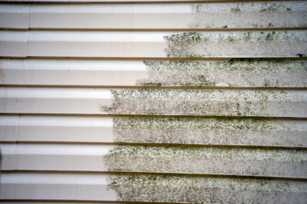 Best Yard Waste Removal  in Oreland, PA